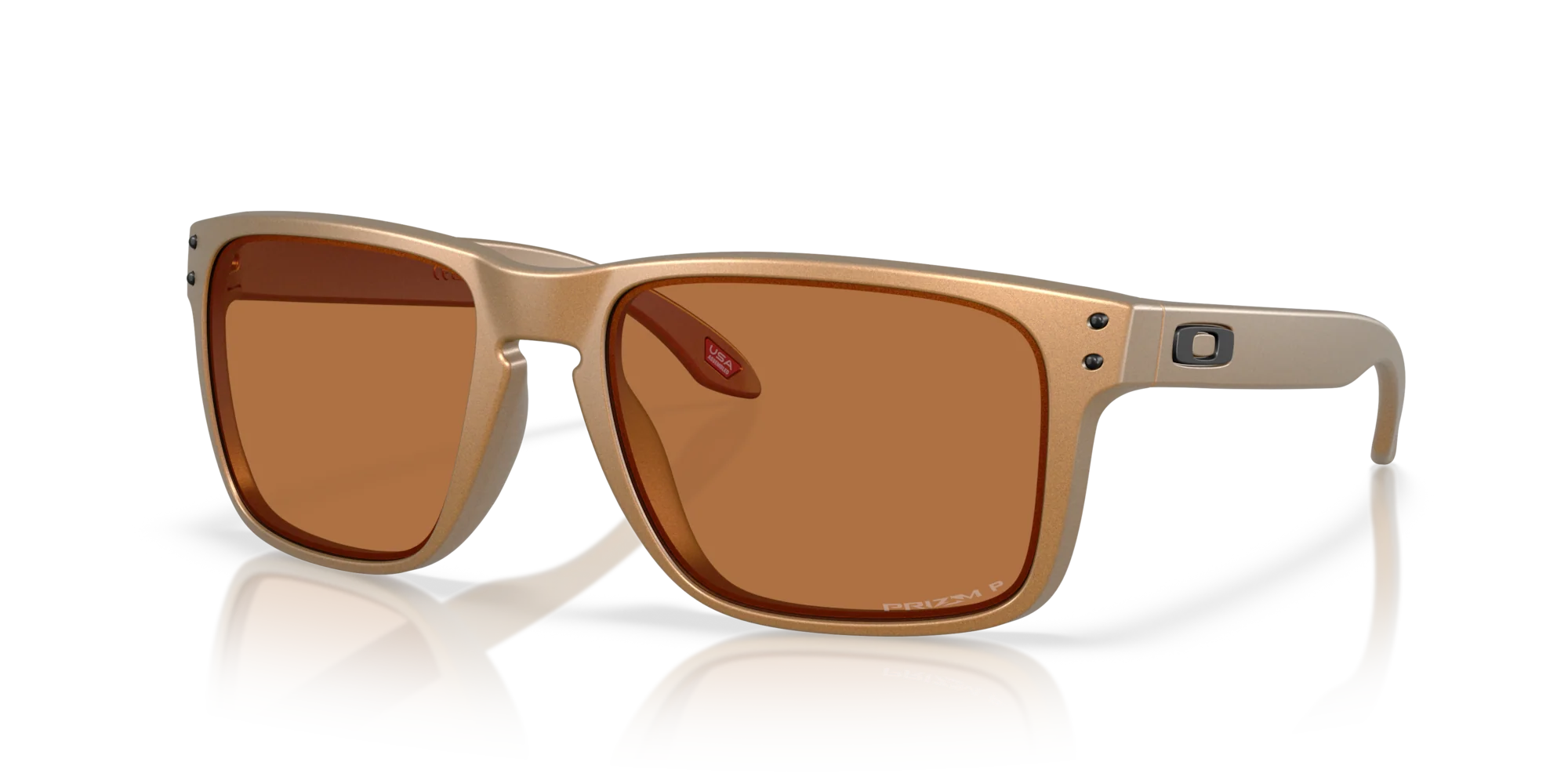 Oakley Holbrook XL