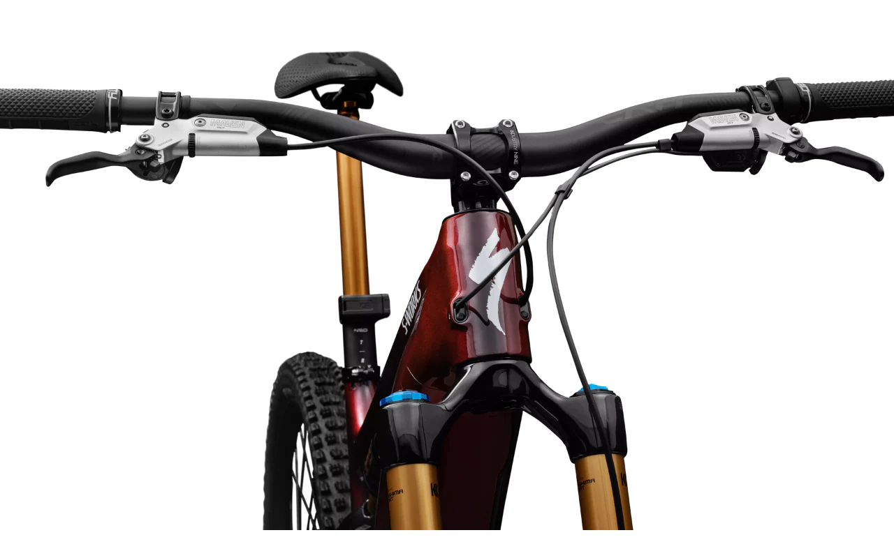 S-Works Turbo Levo 4 - Image 5