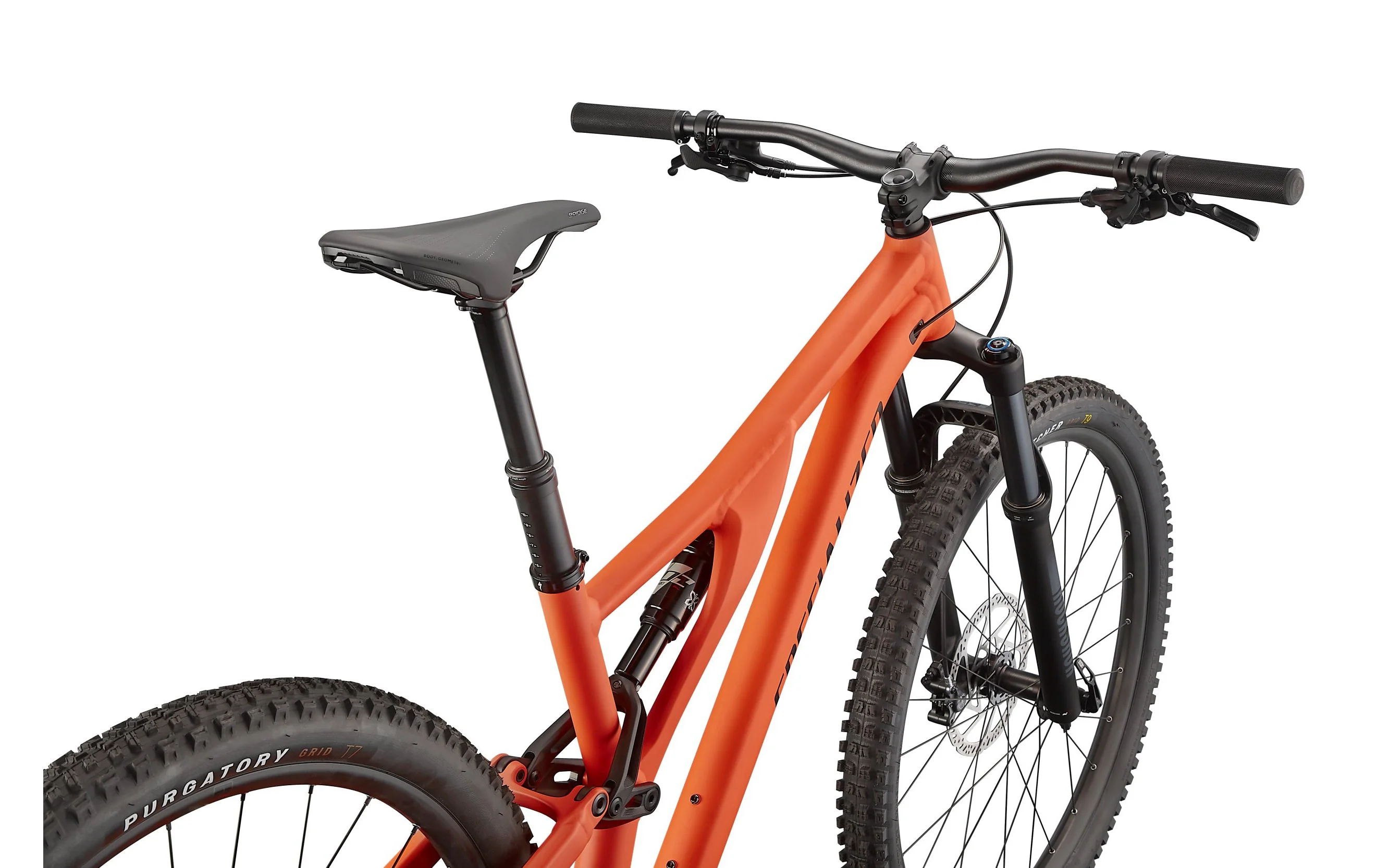 Stumpjumper Alloy - Image 9